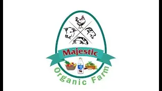 Majestic Farm Fresh Vegetables in Madurai &ndash; Jeeva Nagar