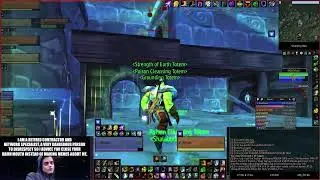 Shalabubu - 39 Shaman Twink Ambershire Turtle WoW