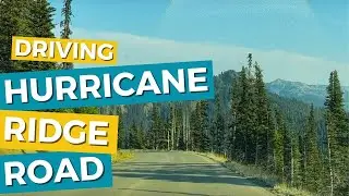 Driving Hurricane Ridge Road in Olympic National Park