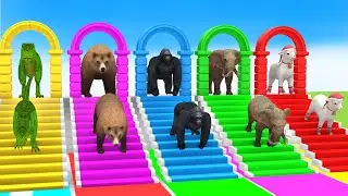 Long Slide Game With Cow Elephant Gorilla Hippopotamus Tiger 3d Animal Game Funny 3d Animals