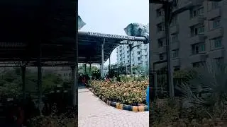 Tata Steel Zoological Park #minivlog
