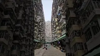 Montane Mansion