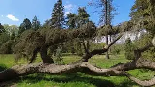 Arboretum Poort Bulten