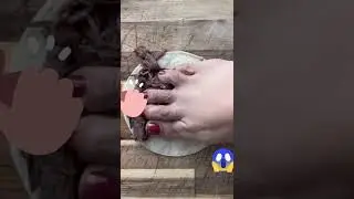 She Put Her Foot In That Recipe 🥴