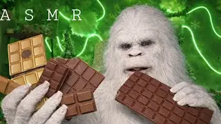 BigFoot ASMR |Eating Chocolates