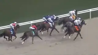 R5 GULFSTREAM PARK USA 23 JAN 2026