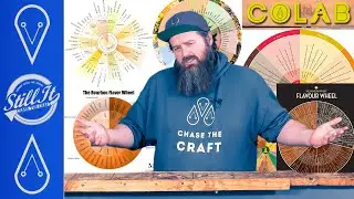 Why Flavour Wheels Rock & How They Help The Co-Lab