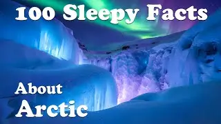 The Most Relaxing Arctic Facts to Fall Asleep To | Science Documentary for Sleep