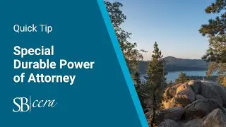Quick Tip: Special Durable Power of Attorney