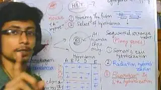 Gene mapping part 5 Radiation hybrid mapping