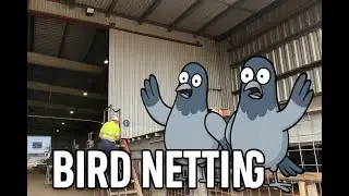 Industrial Warehouse Bird Netting Installation