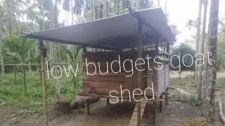 goat shed in low cost#goat shed for beginners#####