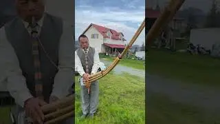 Qeej Nkauj Nog
