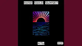 Rose Gold Sunset