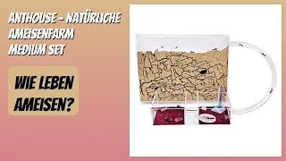BEWERTUNG (2025): AntHouse - Nat&uuml;rliche Ameisenfarm Medium Set. Infos