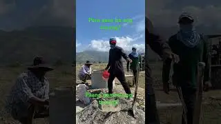 Paano ba gumawa ng tosang? #buhaymagsasaka #tosang