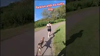 Parkrun Doggy!!! #parkrun