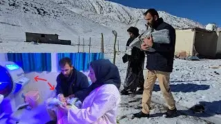 Newborn jaundice in the wild: A nomadic family's difficult journey
