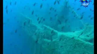 Relitti in Albania -  Nave Ospedale Po - Immersioni nella baia di Valona in Albania
