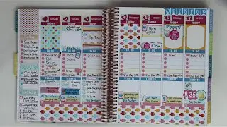 Plan With Me! *August 1 - August 7* ~Summer Kit from Boulderbon Using My New ECLP!~