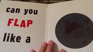 Photicular Vs Scanimation