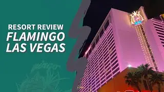 Flamingo Las Vegas: Best Low-Key Vacation on the Strip