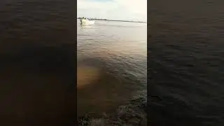 *&ldquo;Paran&aacute; entre Chaco y Corrientes: lanchas y mi boya en acci&oacute;n&rdquo;* 🚤🎣