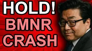 Том Ли из $BMNR пишет: ДЕРЖИТЕ СТРОЯ! (Мин. -8%)