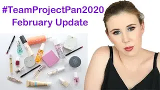 Team Project Pan 2020 | February Update