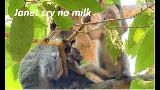 Brat Janet​ cry so much angry Jane not give milk | Jane angry Janet​ask milk while Janna very severe