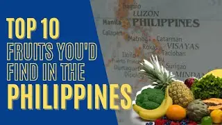 Top 10 Fruits You&rsquo;d Find in the Philippines