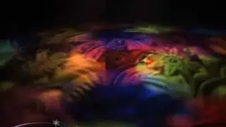 ACME WILDTECH -Fascination