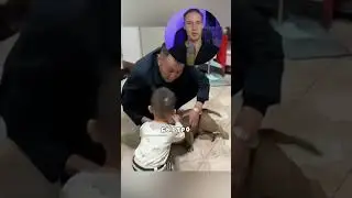 Встреча которая изменила жизнь собачки #собака #shorts
