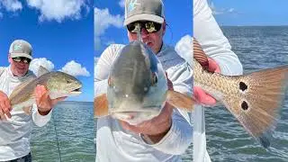 RIPPING DRAGs ALL DAY - Fishing Oyster Bar Reds in SW FL