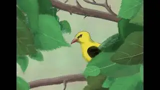 Vijverhof bird animation