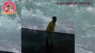 (경주 여행) 경주 정글의 법칙 미디어파크에 다녀왔어요 - 경주 아이와 가볼만한 곳