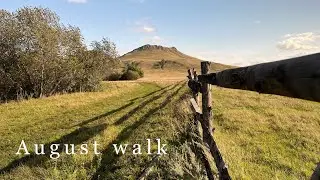AUGUST WALK | Cinematic 