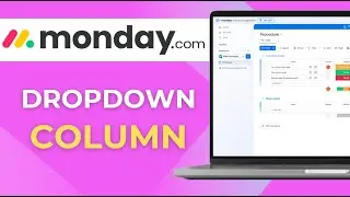 How To Use the Status, Tags, and Dropdown Column in Monday.com