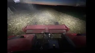 Shredding corn stocks 2025 live stream