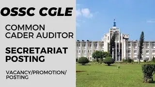 OSSC CGLE COMMON CADER AUDITOR POSTING PROMOTION