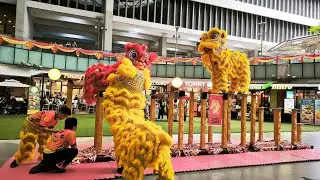 Lion Dance Performance 2026 | KL GATEWAY MALL