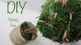 DIY Topiary Tree / Топиарий своими руками / Easy Moss Topiary / Tutorial