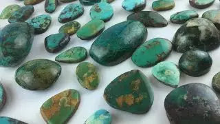 Turquoise cabochons  in Free Size