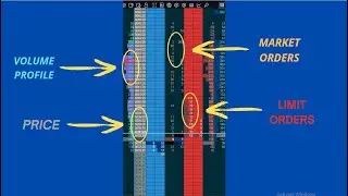 DOM Basics | The Most Profitable Trading Tool for a High Win Rate