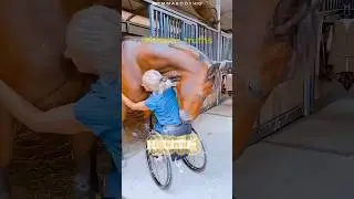 When animals love you 🥰 P40 #shorts #animals