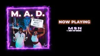 THE LOVERS - MSN (MONEY STOP NONSENSE) (Official Lyric Video)