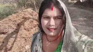  हमारे खेत का फसल कैसा लगा आप लोग कमेंट में जरूर बताइएगा प्लीज वीडियोपुरी देख कर जाना#🙏🙏🙏
