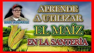 la santería y el uso del maíz alimento sagrado de los orishas.