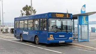 Damory 3328 HW54 DBZ
