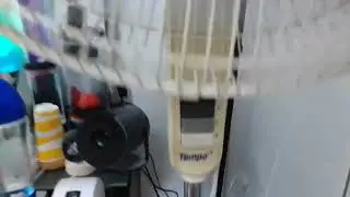 My tempo 40cm pedestal fan with broken oscillation mechanism shown on all speeds